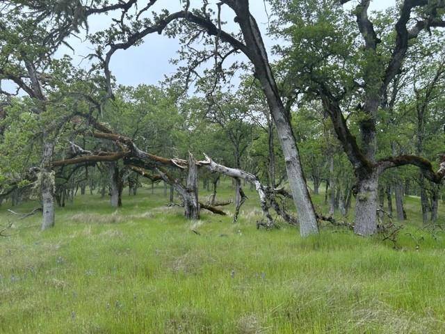 Carmel Valley, CA 93924,0 Lambert Flat RD