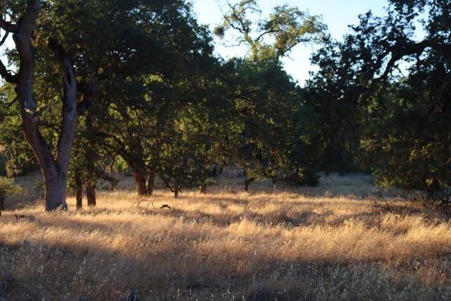 Carmel Valley, CA 93924,0 Lambert Flat RD