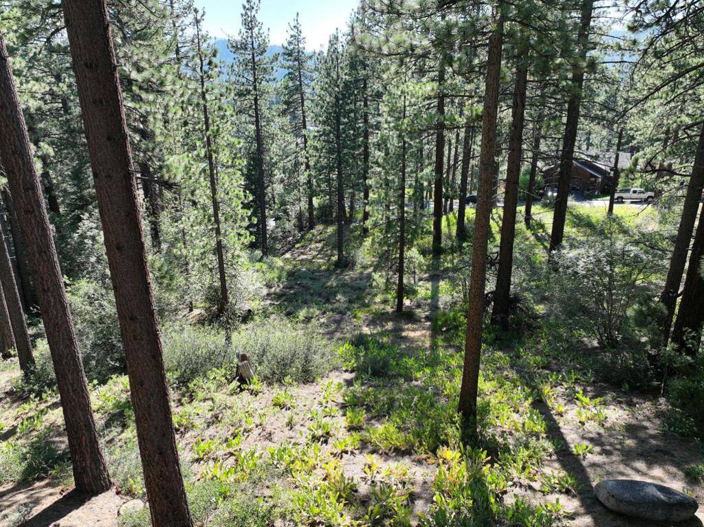 South Lake Tahoe, CA 96150,881 Onnontioga ST