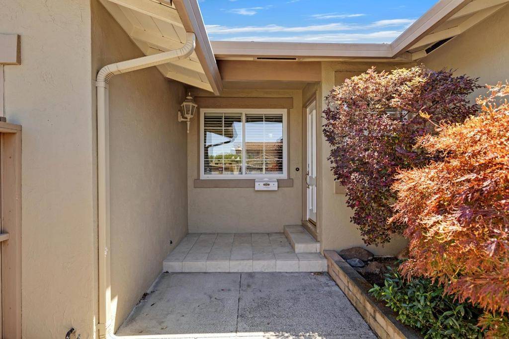 Foster City, CA 94404,256 Avocet CT
