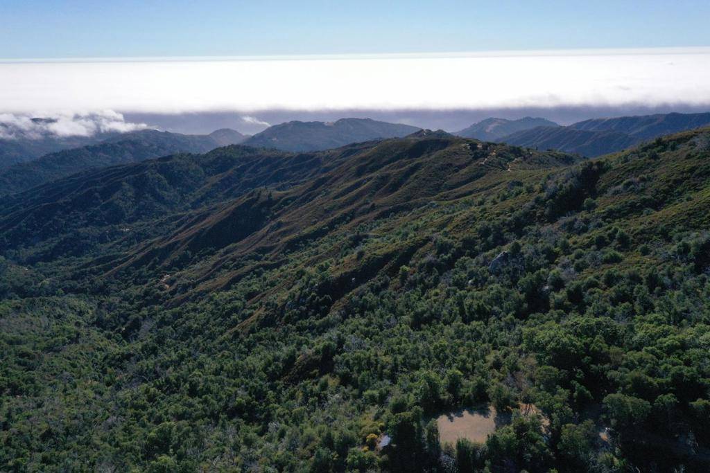 Carmel, CA 93923,38875 Palo Colorado RD