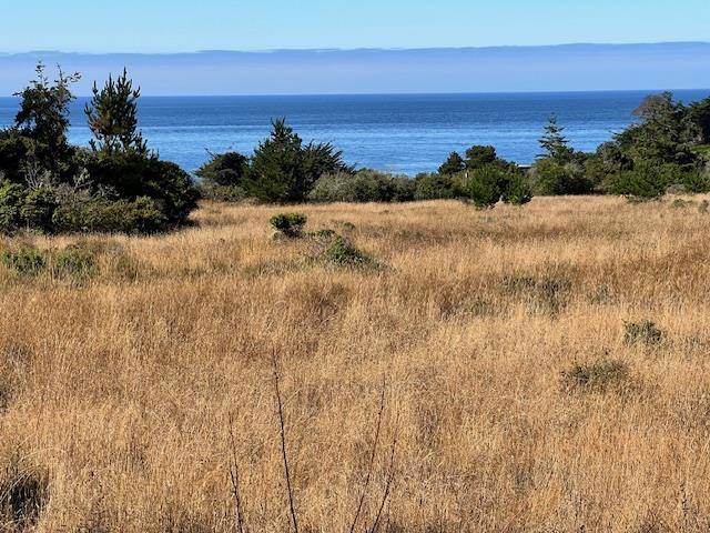 The Sea Ranch, CA 95497,375 Spur Close