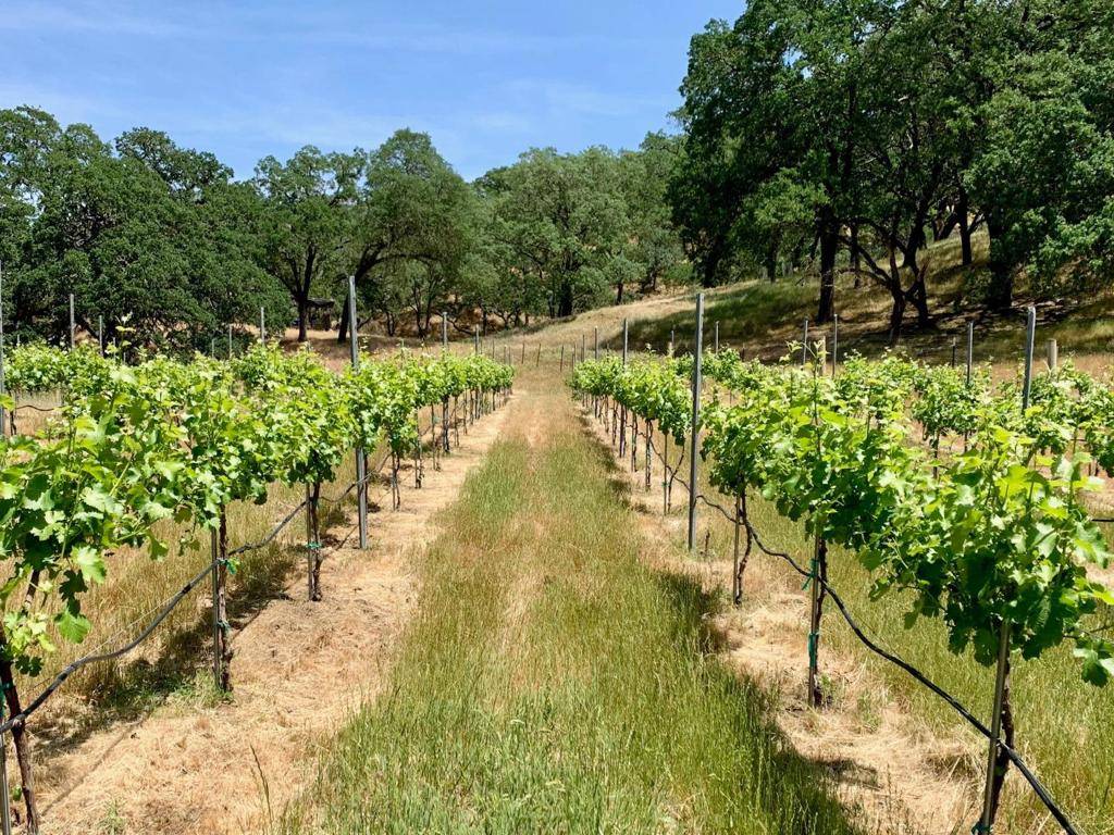 San Martin, CA 95046,0 Hayes LN