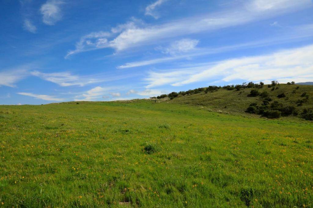 Carmel, CA 93923,1 Penon Peak (Lot 217) TRL