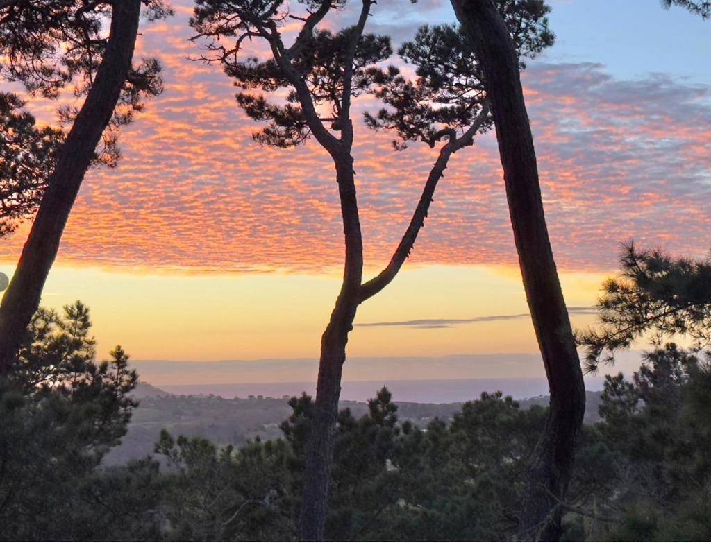 Carmel, CA 93923,31 Del Mesa Carmel