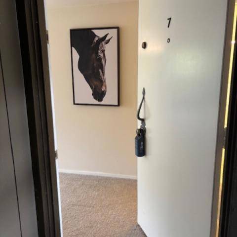 San Carlos, CA 94070,3295 La Mesa DR #7