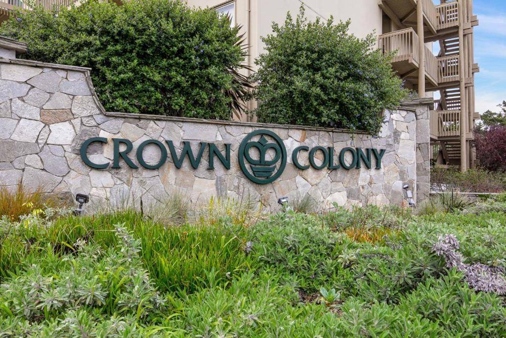 Daly City, CA 94015,359 Half Moon LN #113