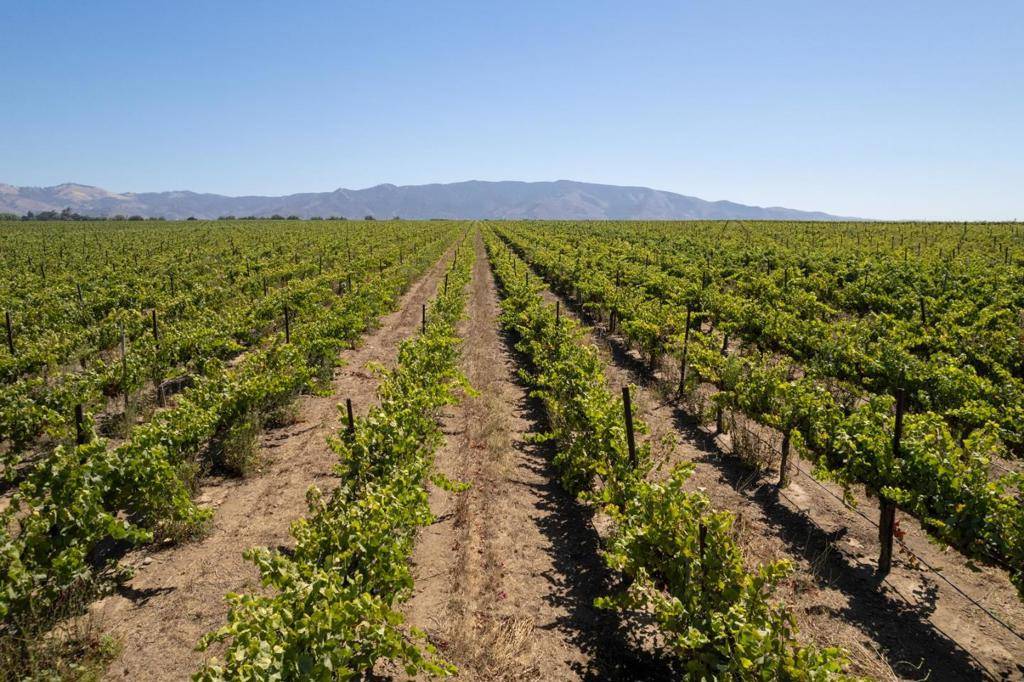 Gonzales, CA 93926,32498 Gloria RD