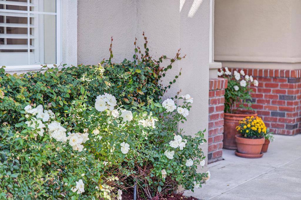 Aptos, CA 95003,217 Augusta LN