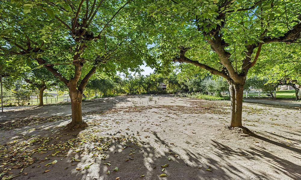 San Juan Bautista, CA 95045,547 Mission Vineyard RD