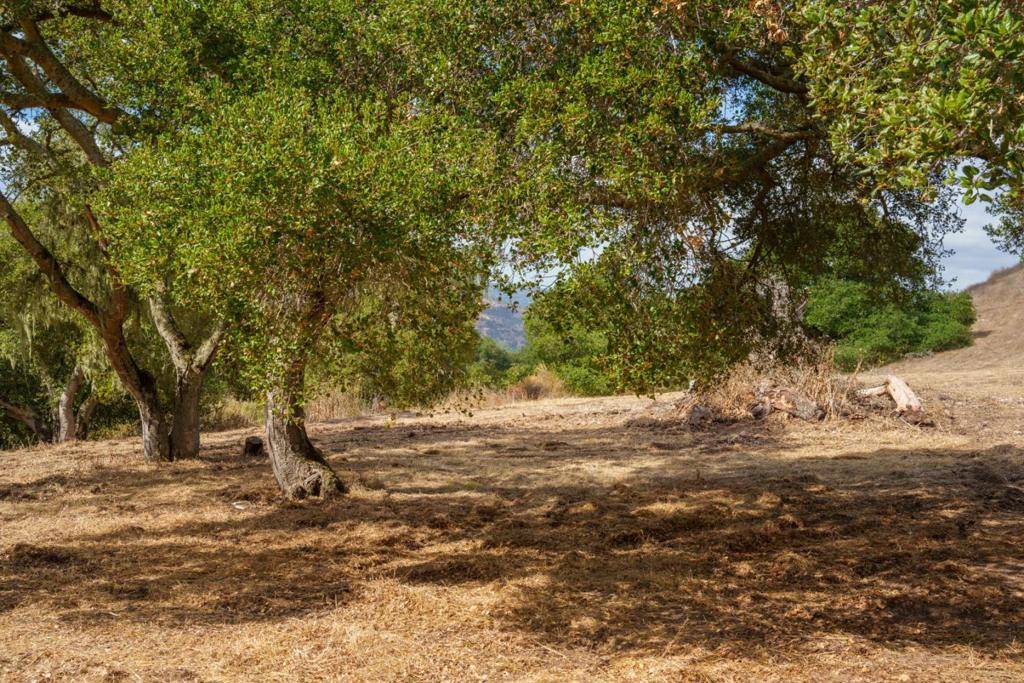 Salinas, CA 93908,367 San Benancio