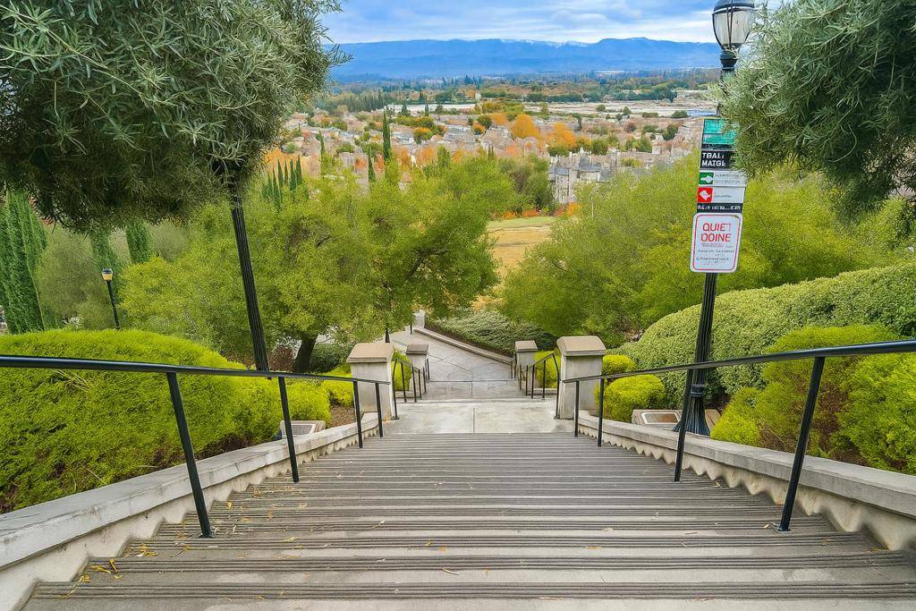 San Jose, CA 95136,473 Tower Hill AVE