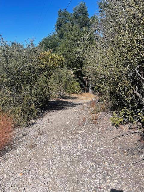 Carmel Valley, CA 93924,0 Cachagua RD