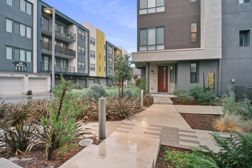 Fremont, CA 94538,3713 Vision #1007