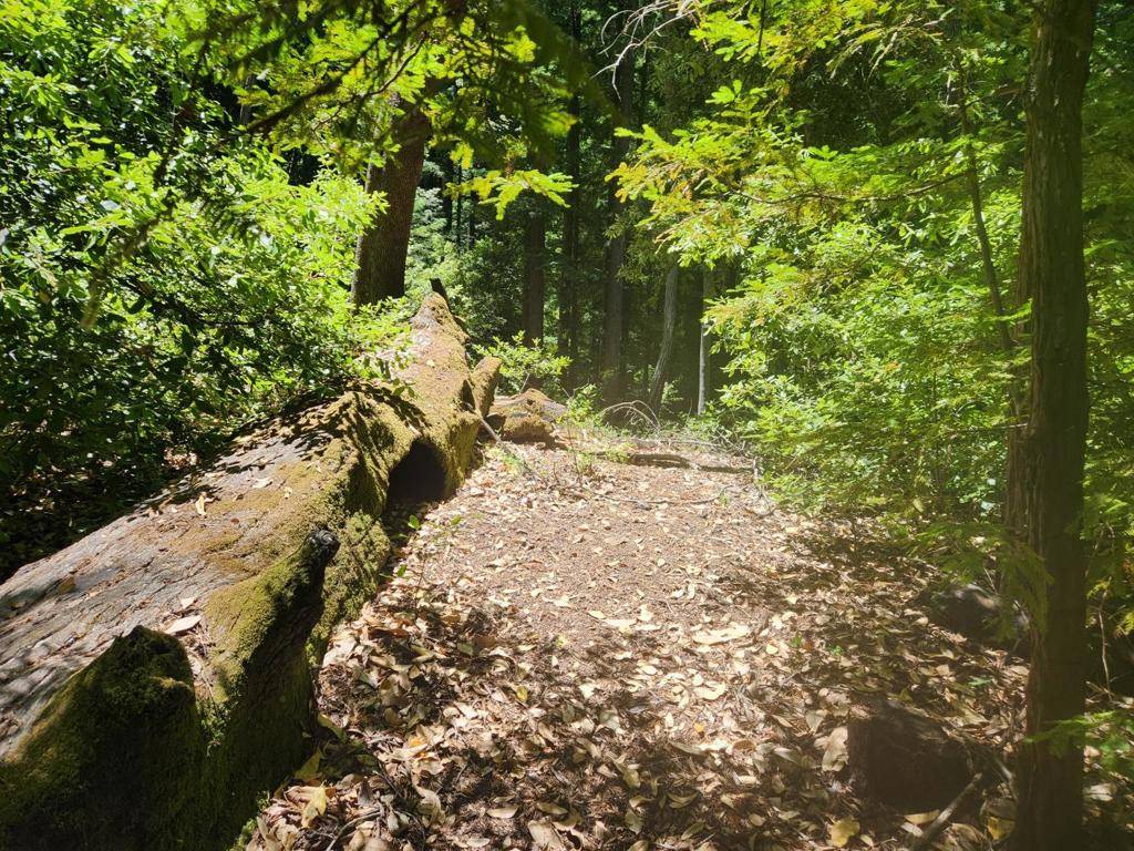 Los Gatos, CA 95033,0 Lost Valley RD