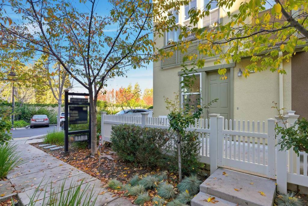 Sunnyvale, CA 94086,203 Peppermint Tree TER #8