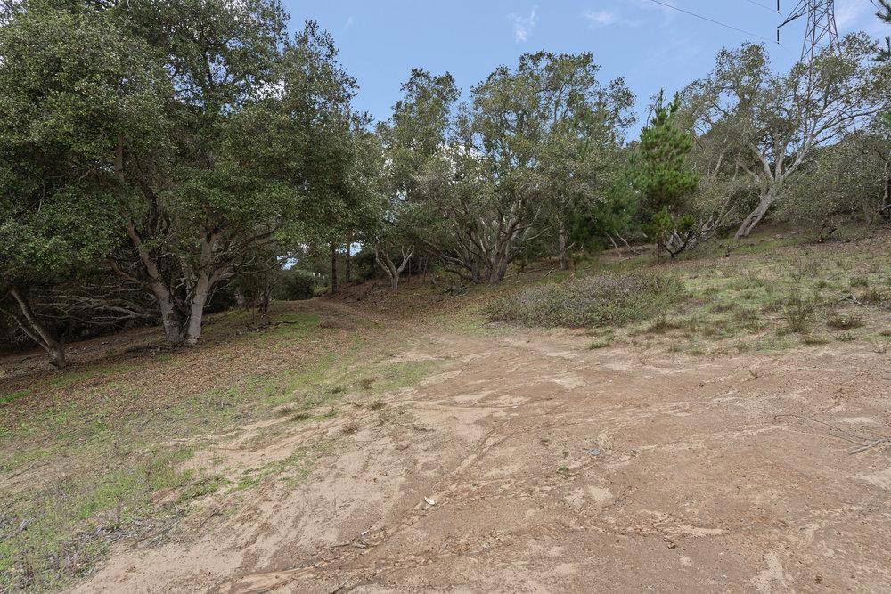 Royal Oaks, CA 95076,0 Campagna WAY