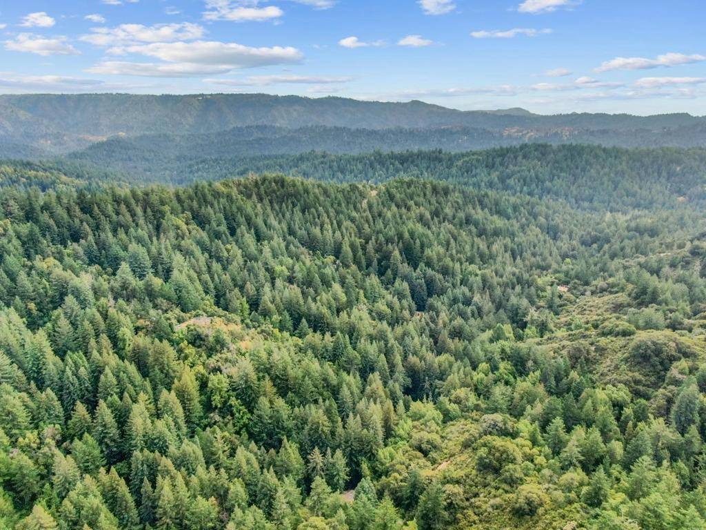 Boulder Creek, CA 95006,975 Logan Creek RD