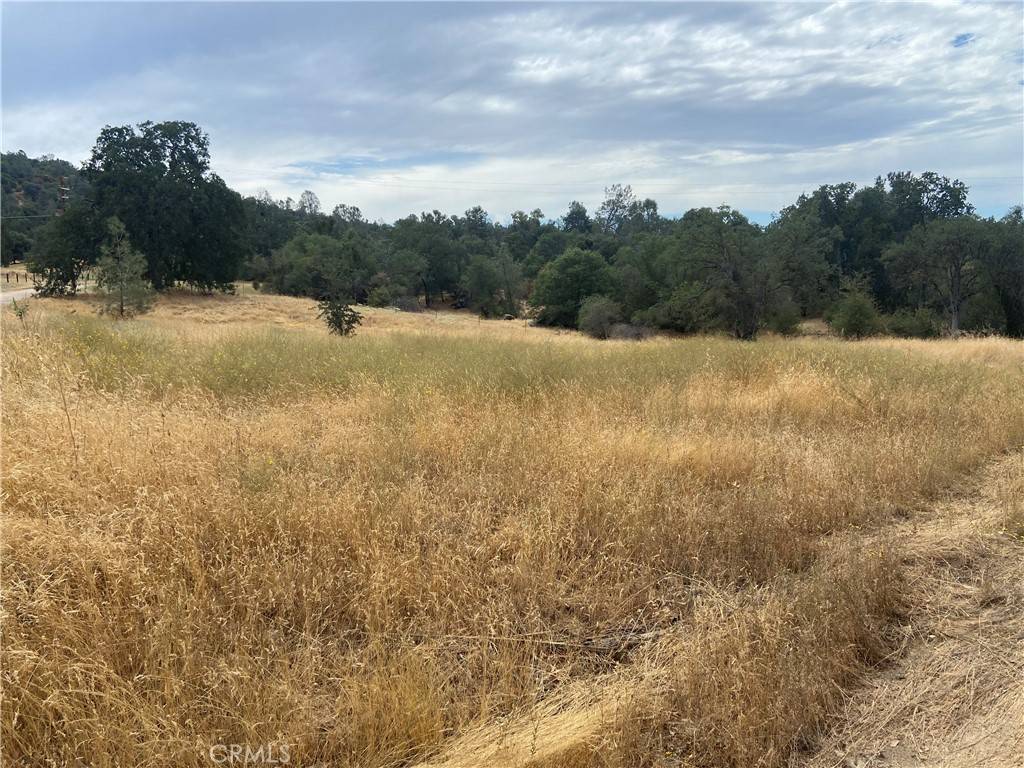 Coarsegold, CA 93614,0 Hogans Mountain RD