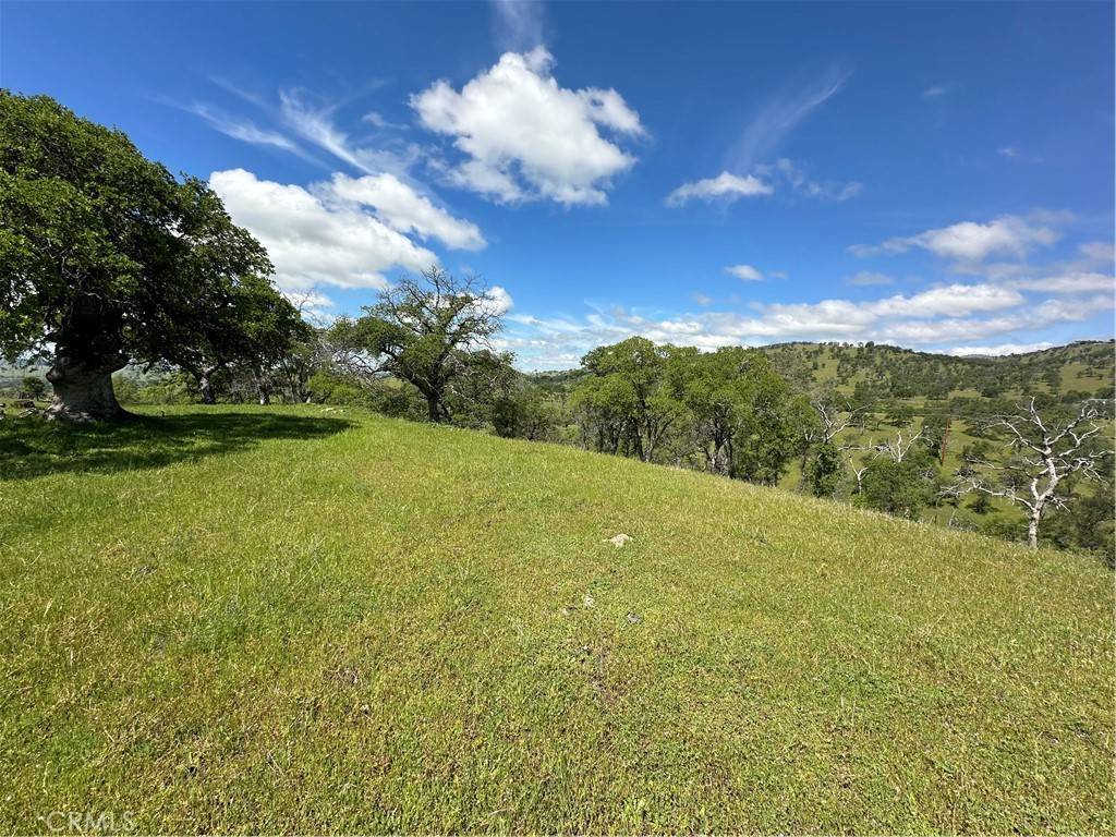 Mariposa, CA 95306,3869 Old Toll RD