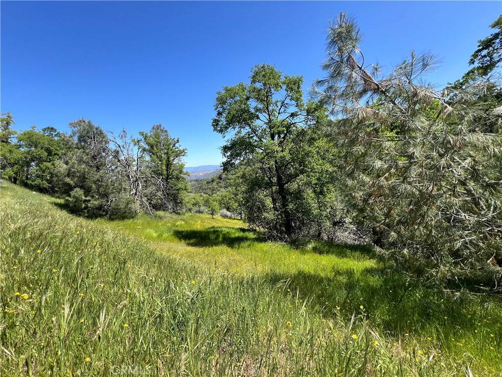 Mariposa, CA 95338,0 Lakeside DR