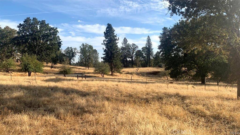 Mariposa, CA 95338,5644 Sierra Meadows LN