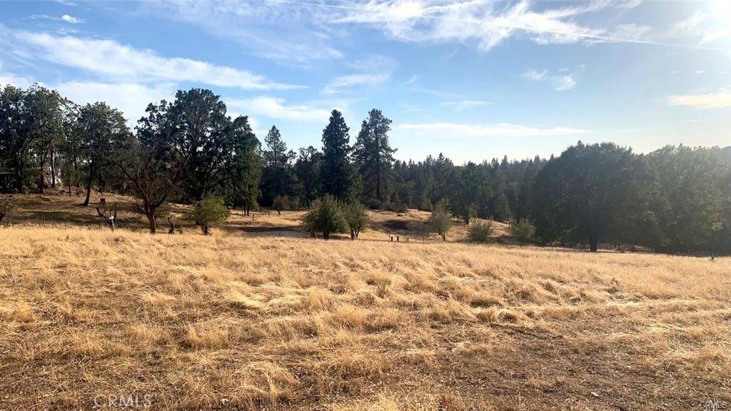 Mariposa, CA 95338,5644 Sierra Meadows LN