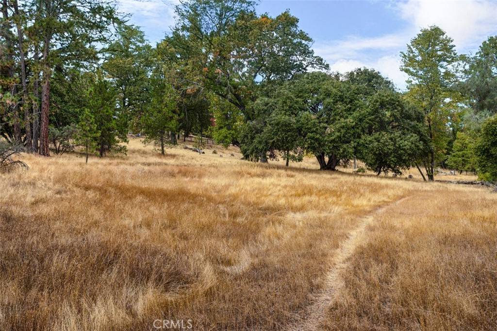 Mariposa, CA 95338,4959 Sierra Pines DR