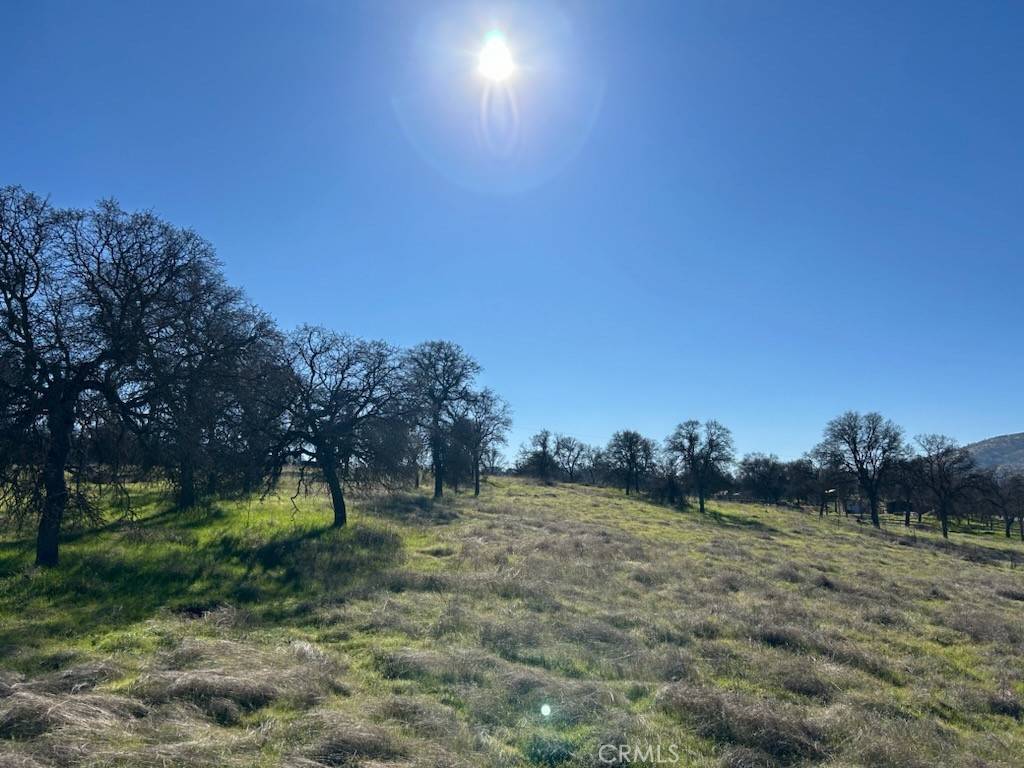Catheys Valley, CA 95306,5 Acres - El Toro RD