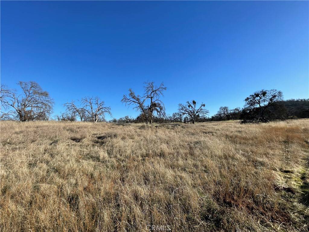 Catheys Valley, CA 95306,5 Tinkers Penny LN