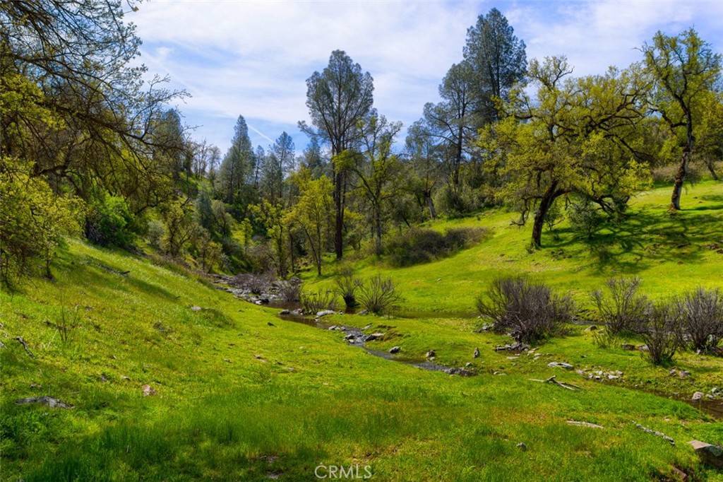 Mariposa, CA 95338,3729 Ben Hur RD