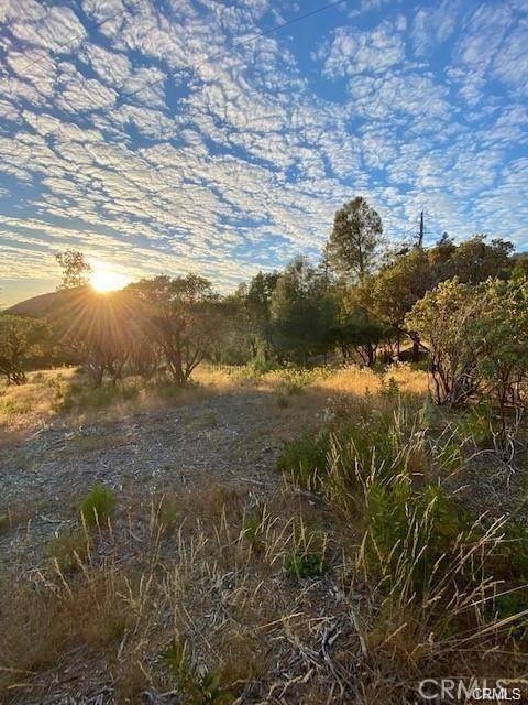 Mariposa, CA 95338,17 5 Acres Vista Lago