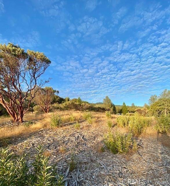 Mariposa, CA 95338,17 5 Acres Vista Lago