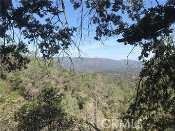Mariposa, CA 95338,4521 Alamo Creek RD