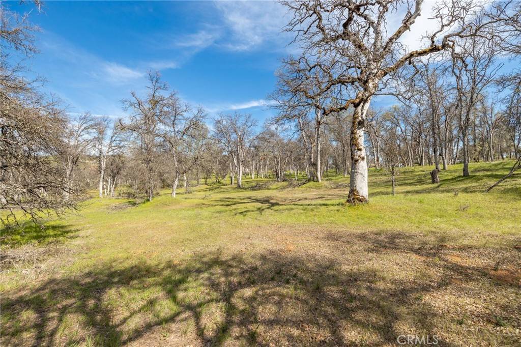 Mariposa, CA 95338,5328 E Whitlock RD