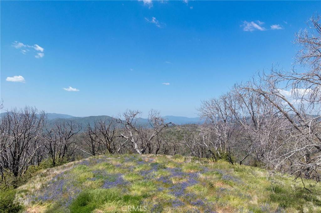 39 Acres Buckingham Mountain RD Mariposa, CA 95338