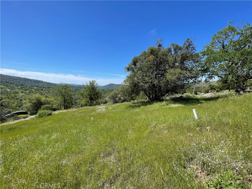 Mariposa, CA 95338,3116 River Haven DR