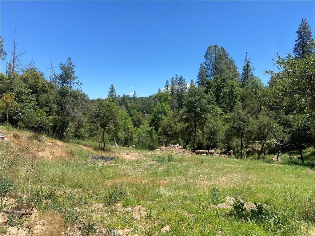 Oakhurst, CA 93644,0 Rusty Lane Lot #47 LN
