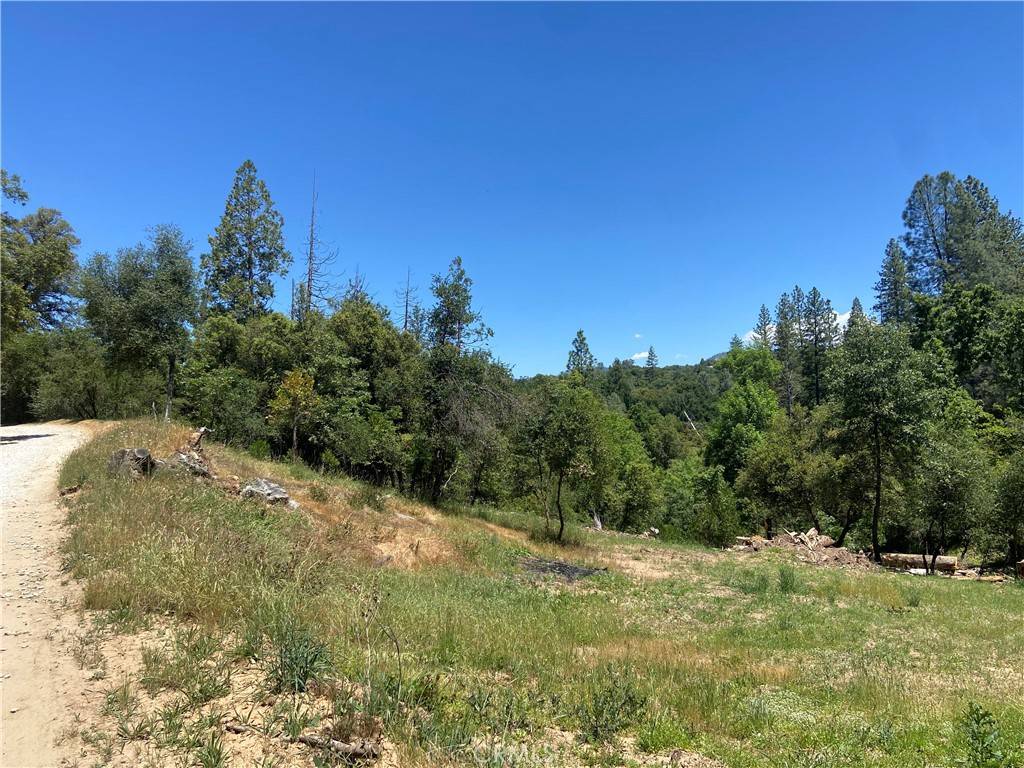 Oakhurst, CA 93644,0 Rusty Lane Lot #47 LN