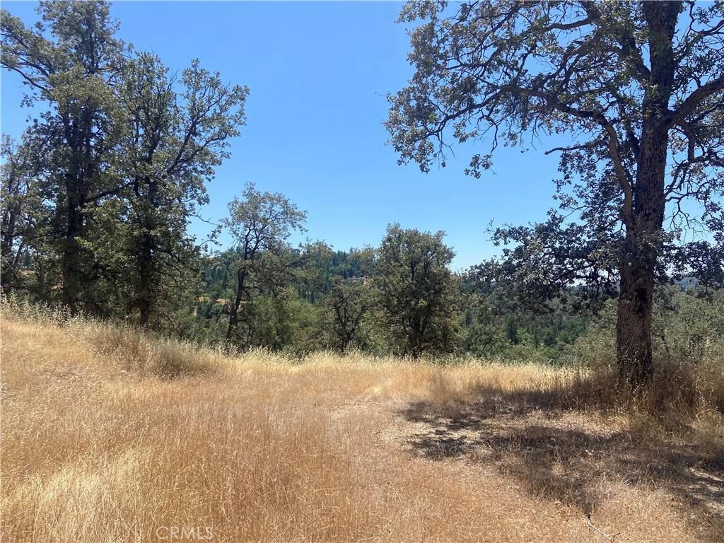 Mariposa, CA 95338,5737 Colorado RD