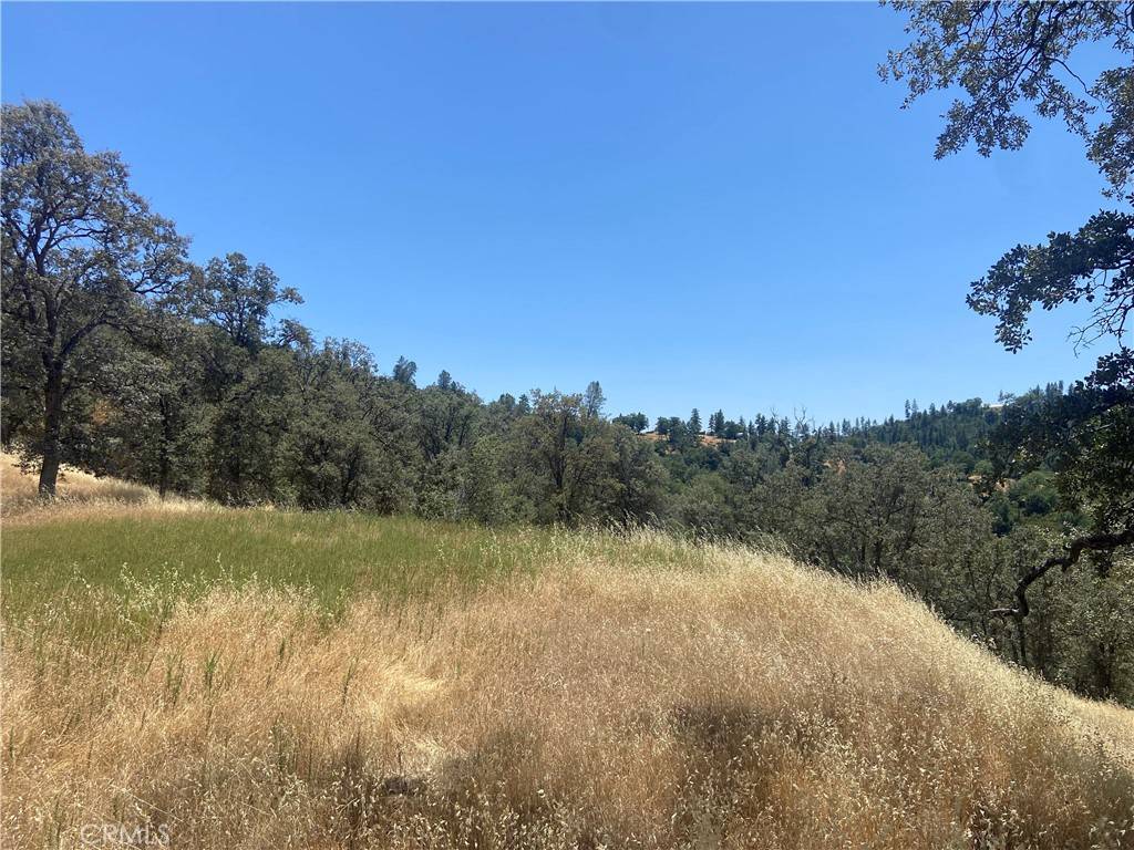 Mariposa, CA 95338,5737 Colorado RD