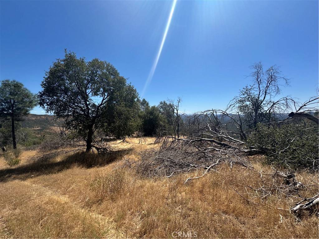 Mariposa, CA 95338,3896 B State Highway 140