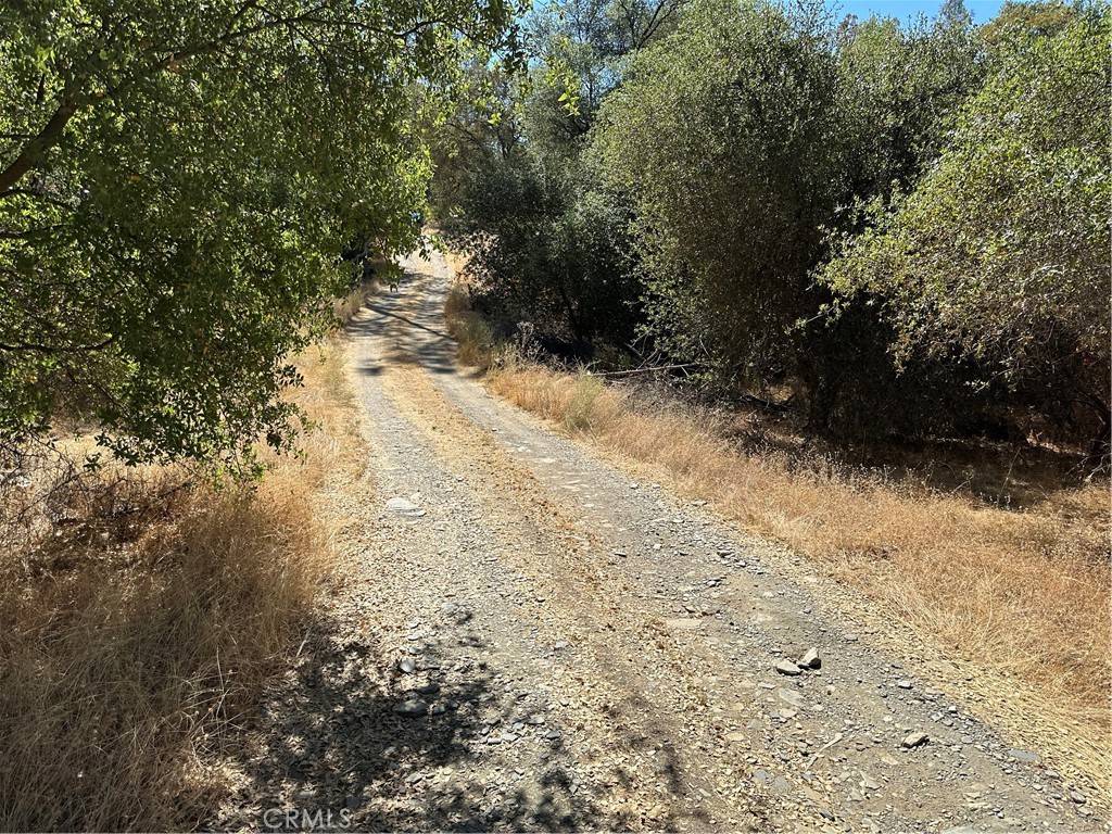 Mariposa, CA 95338,4275 Ashworth RD