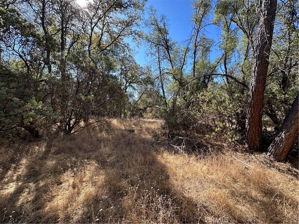 Mariposa, CA 95338,4275 Ashworth RD