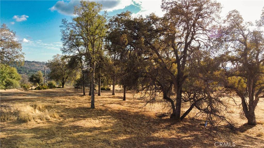 Mariposa, CA 95338,4053 Triangle