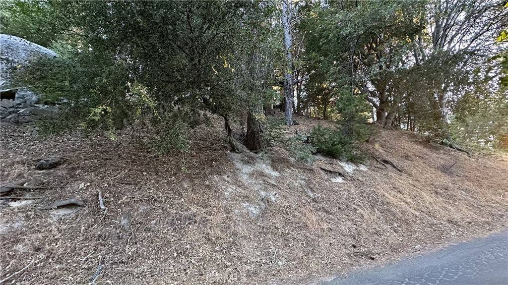 Twin Peaks, CA 92391,0 Mid LN