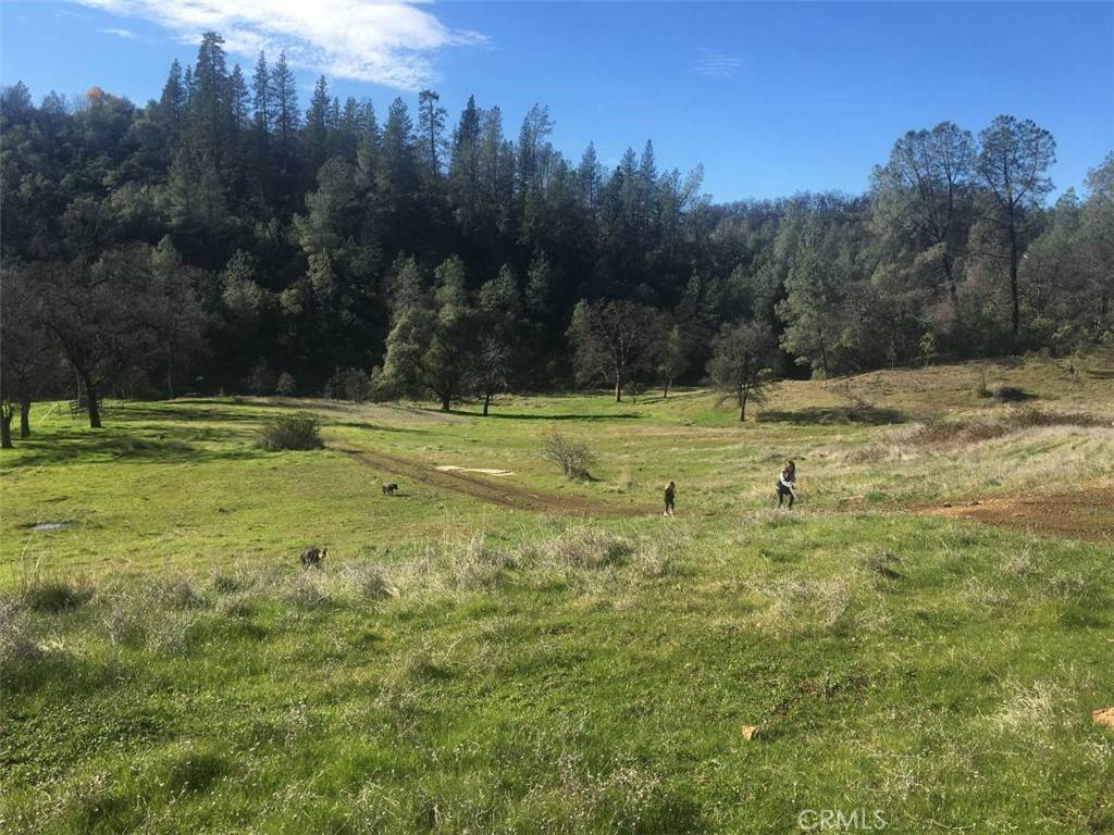 Bella Vista, CA 96008,0 Backbone RD
