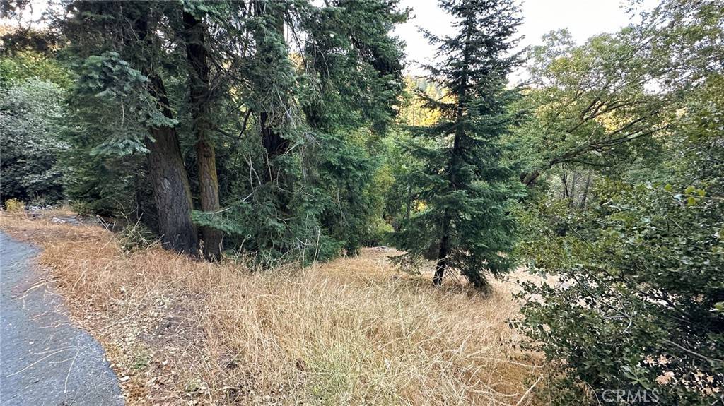 Cedarpines Park, CA 92322,0 Fir ST