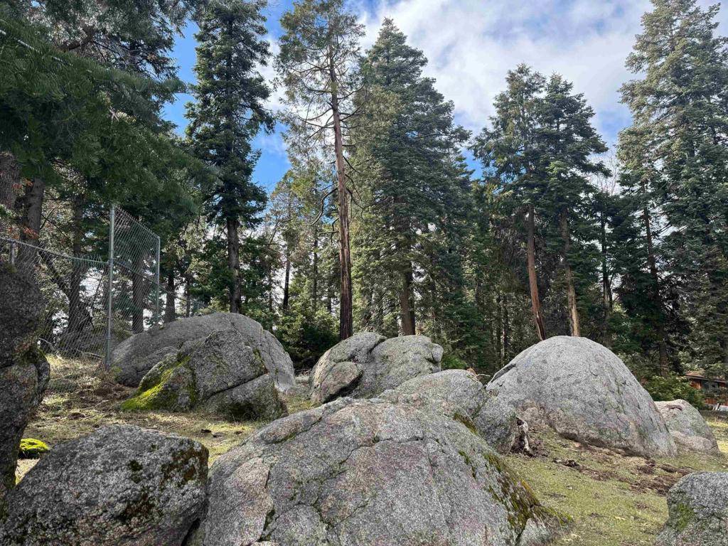Palomar Mountain, CA 92060,21871 Crestline RD