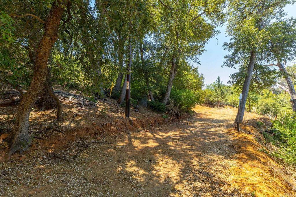 Julian, CA 92036,34791 Natchez TRL